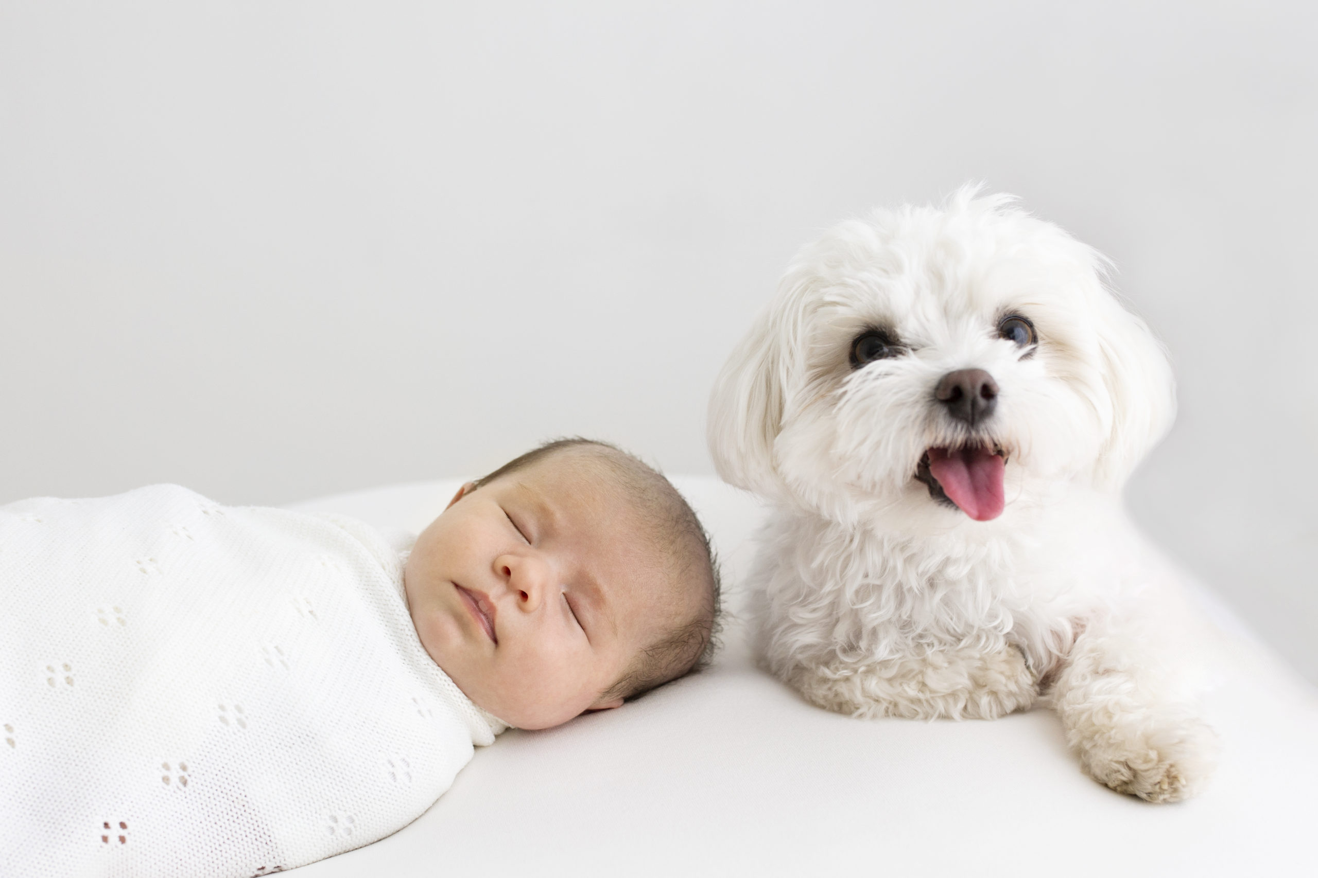 Woking newborn photographer. Newborn baby girl with dog